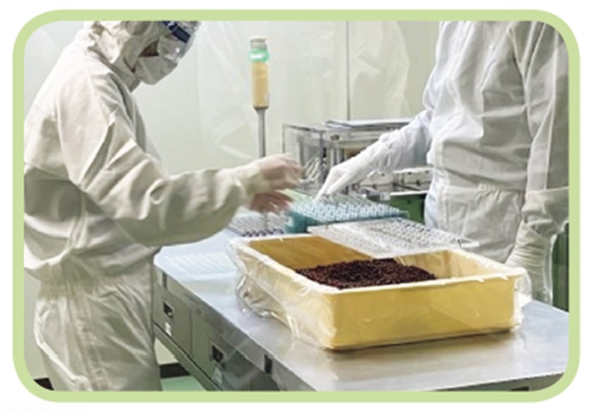 国内工場での製造風景