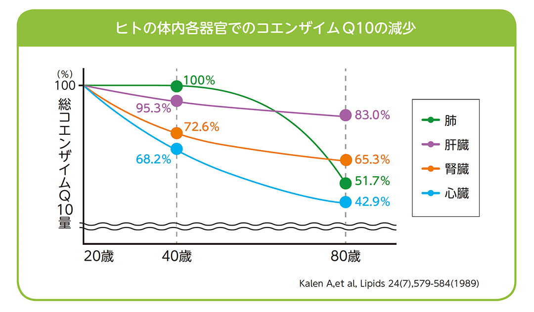 ヒトの体内各器官でのコエンザイムQ10の減少グラフ