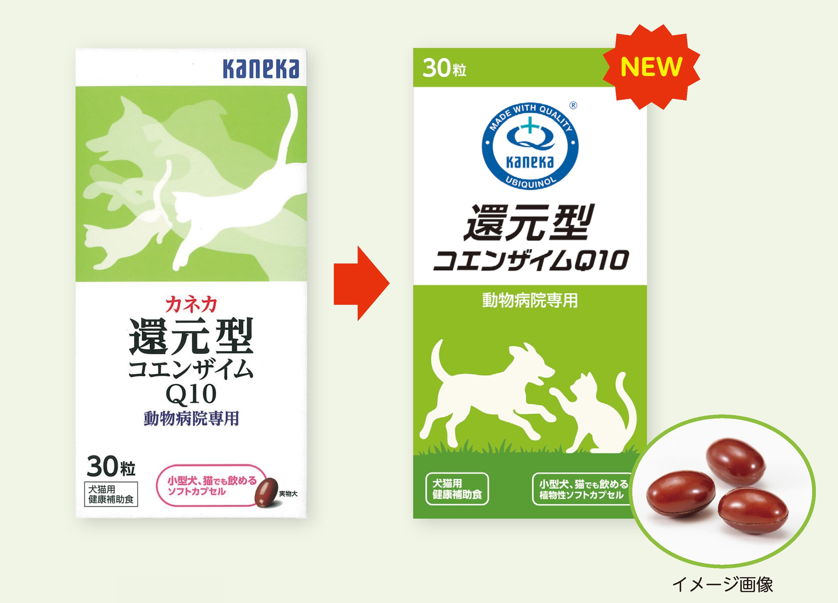 還元型コエンザイムQ10 パッケージリニューアル