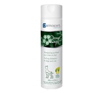 PYOclean Shampoo