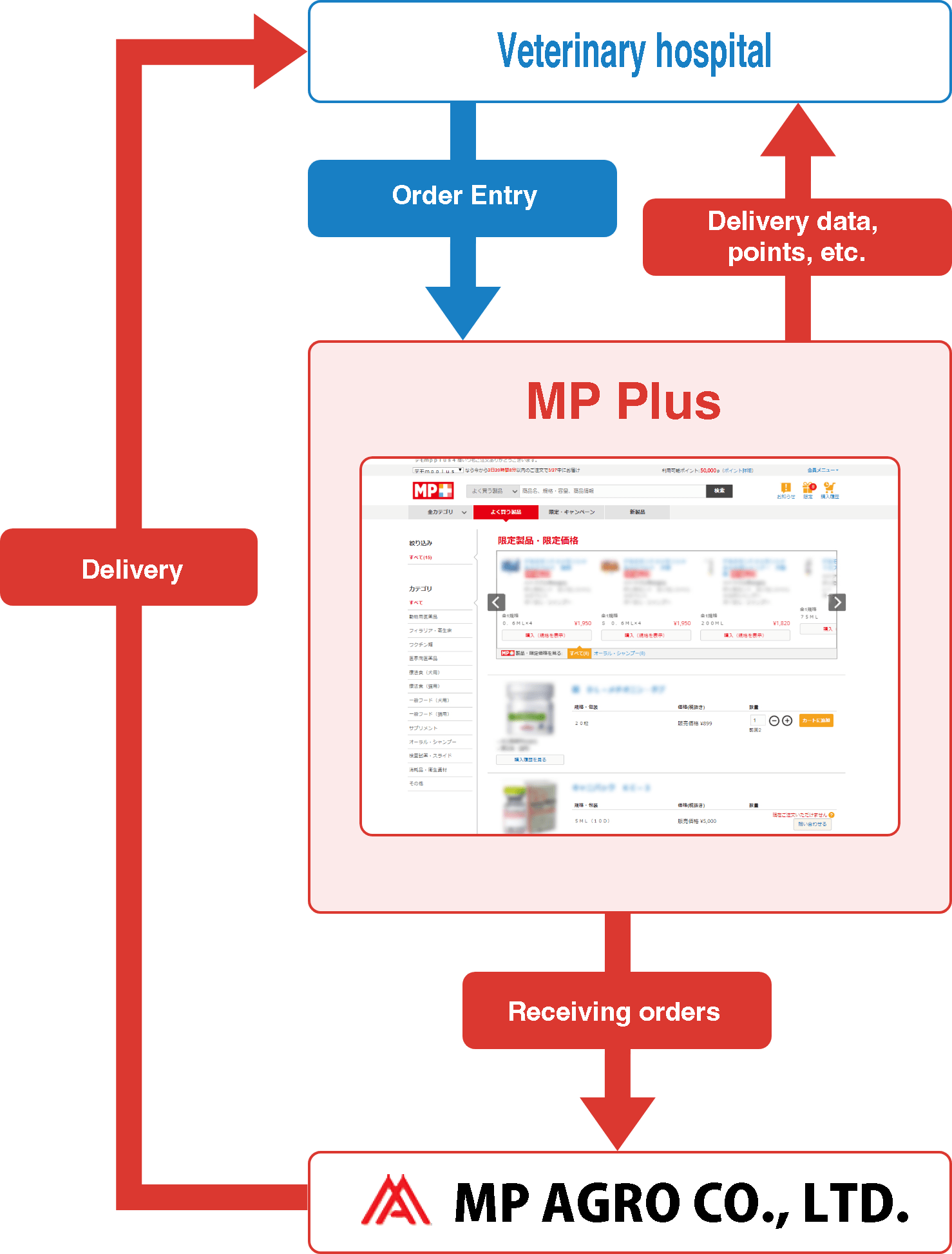 Image diagram of MP Plus from ordering to delivery